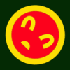 naashins